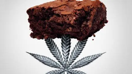 FDA Slates Public Hearings on CBD for April