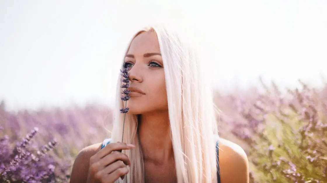 No More Sneezing! 10 All-Natural Herbal Remedies to Stop Seasonal Allergies
