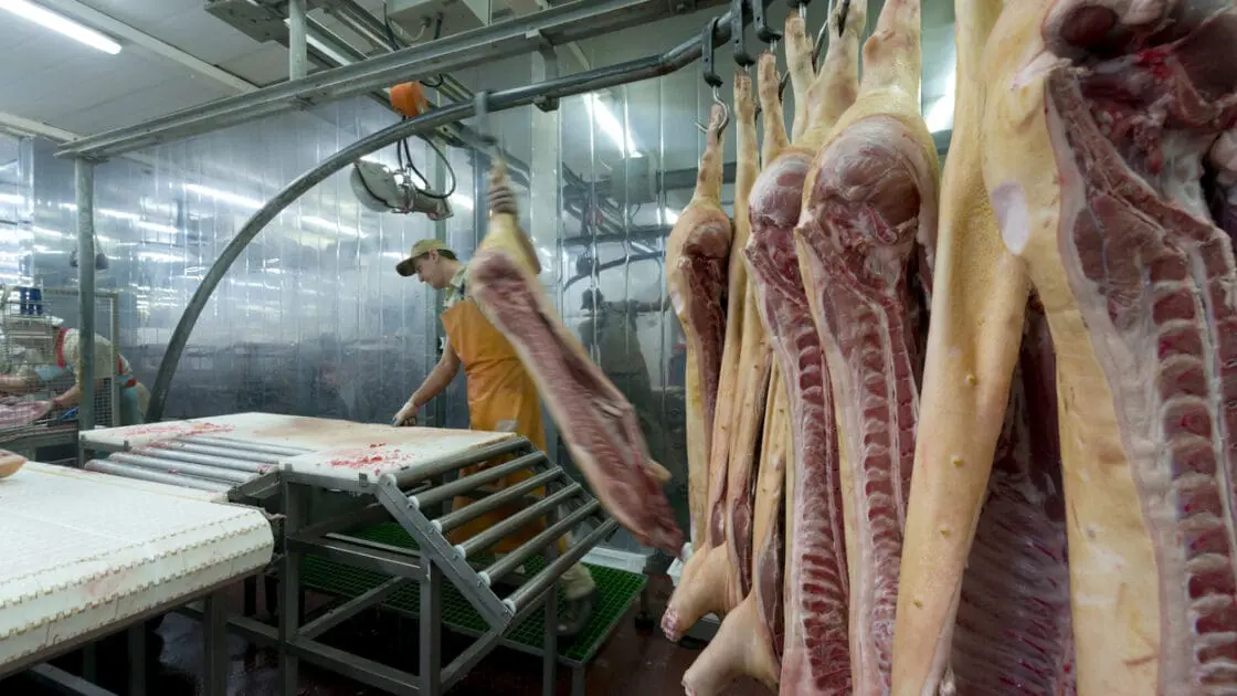 Proposal to Remove Pork Processing Plant Line Speeds Flawed, Experts Say