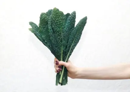 Kale 3rd Dirtiest Item on EWG's Dirty Dozen Pesticide List