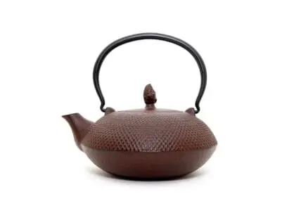 Cast Iron Tea Kettle