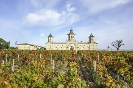 Bordeaux wine country