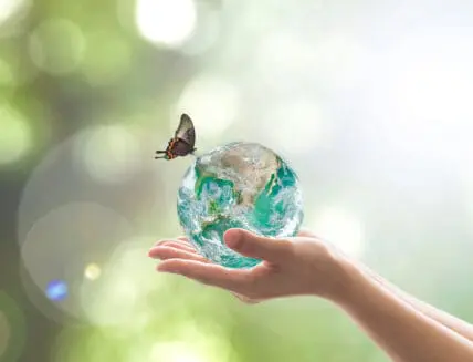 'Planetary Health' Diet Critical for Human Survival, Study Finds