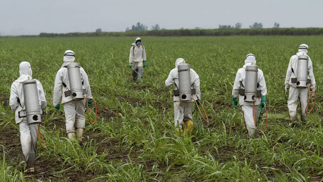 Judge to Decide if Monsanto's Glyphosate Herbicide is 'Safe'