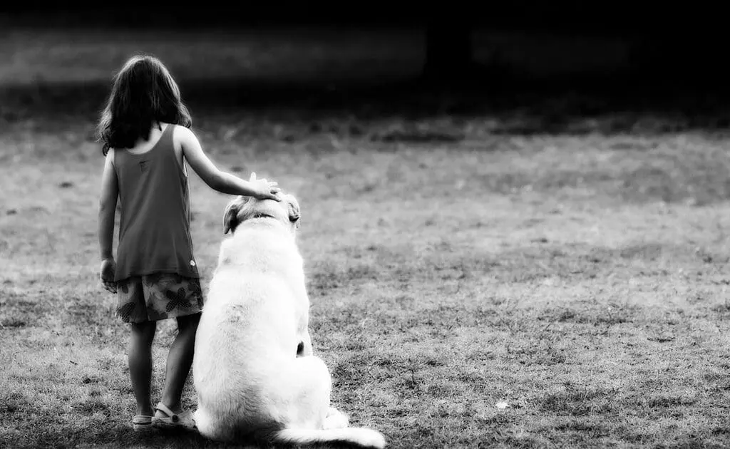 kid dog