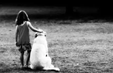 kid dog