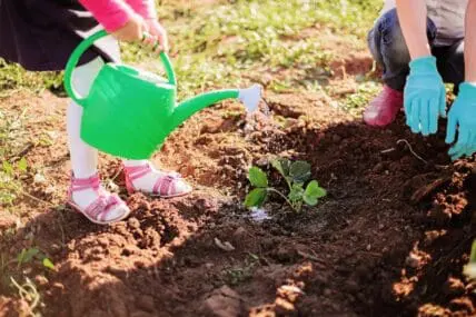 Kids love easy-to-grow plants.