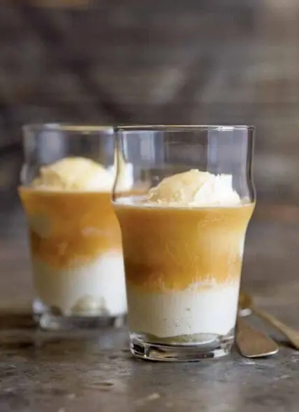 kombucha float
