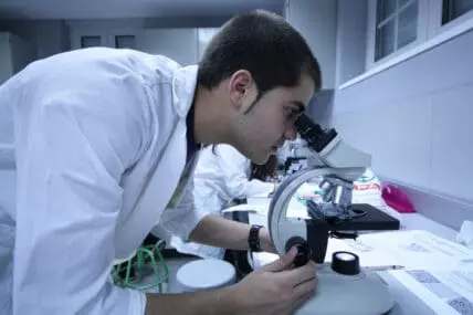 The Russians are Coming…to Test Our GMO Foods?