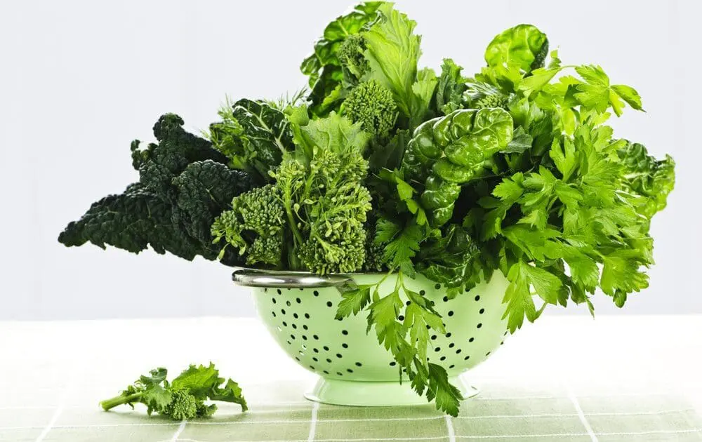 Cook Winter Greens Today with 13 Delicious Recipes (#7 Is Surprising!)
