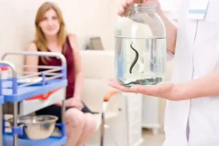 Leech Therapy for a Facial