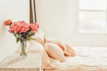 Detox Your Bedroom for Safe and Healthy Sleep