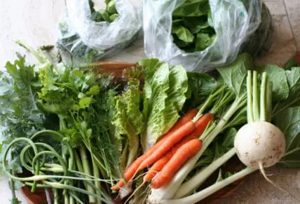 Eat local food even in the winter.