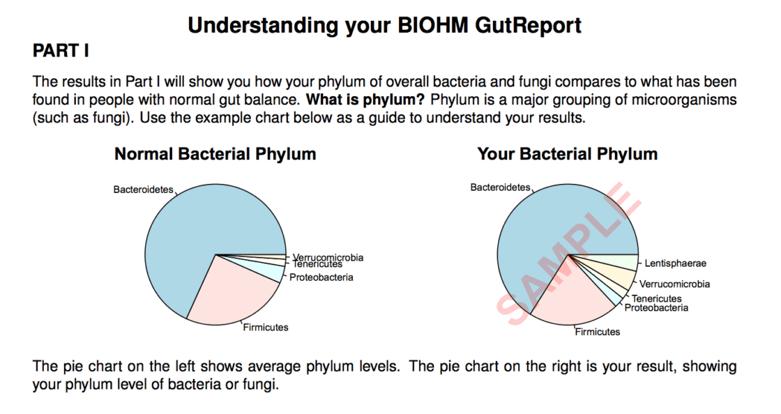 Mae Sure Your Gut Has Friendly Fungus as Much it Does Friendly Bacteria