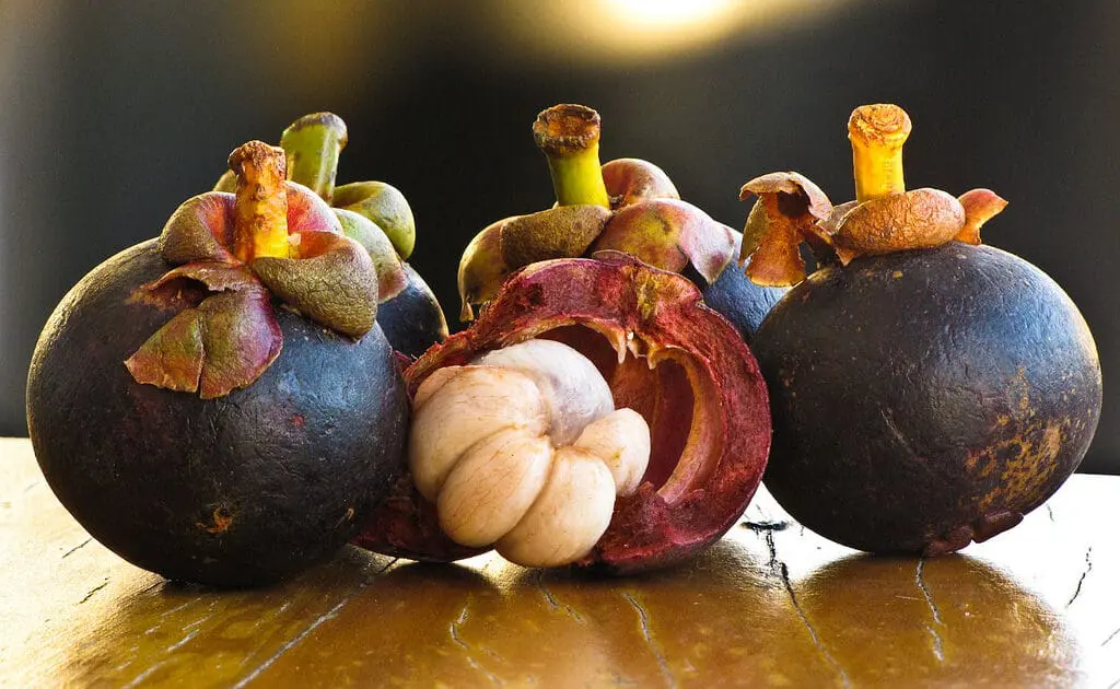 mangosteen