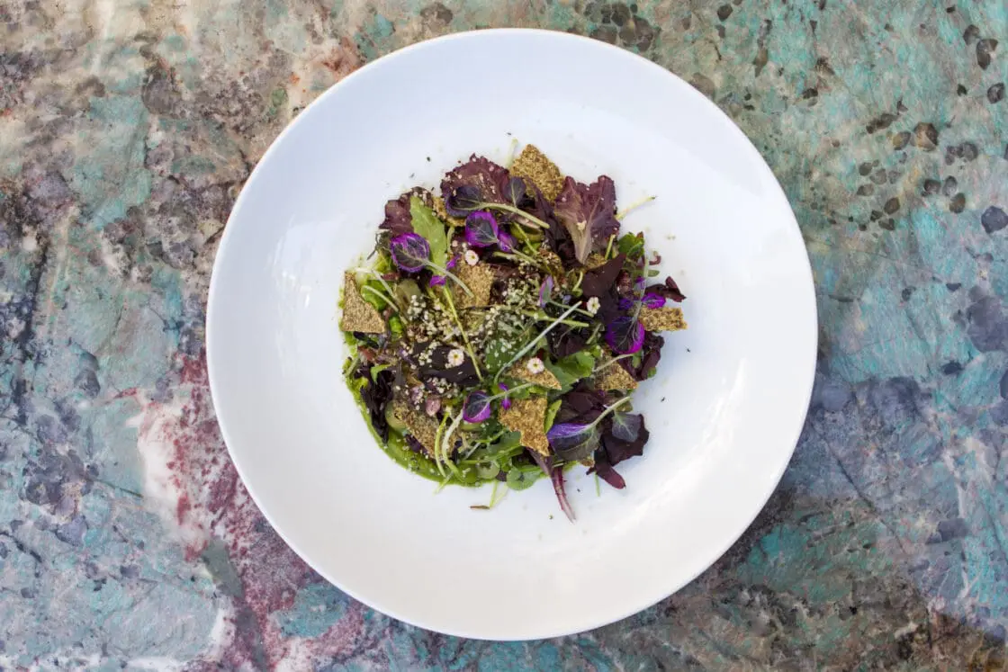 Best Food Allergy Friendly Restaurants