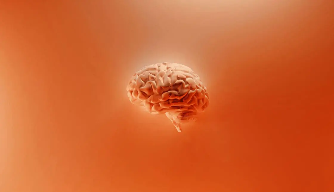 Image of a 3D brain in an orange tone on an orange background. This calls to mind mental fitness which is just as important as physical fitness for our health.