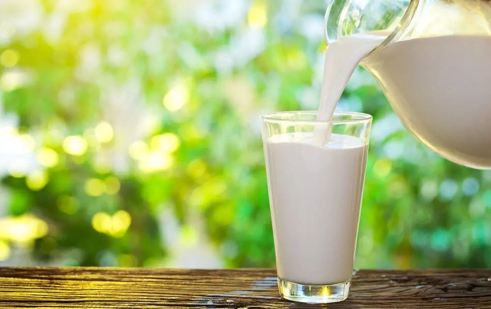 milk