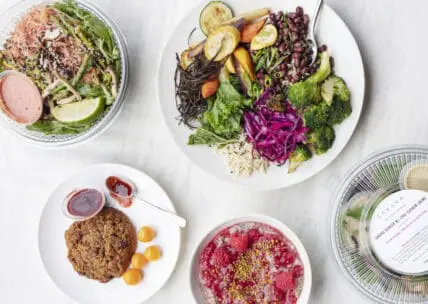 back to the real world organic meal kit delivered