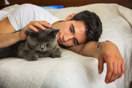 Celebrate National Hug Your Cat Day with these feline approved ways.