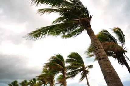 Nation's Leading Grocery Co-Ops Join Corporate Donors for Hurricane Harvey Relief