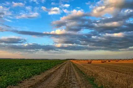 changing our farming system is the only way to feed the hungry