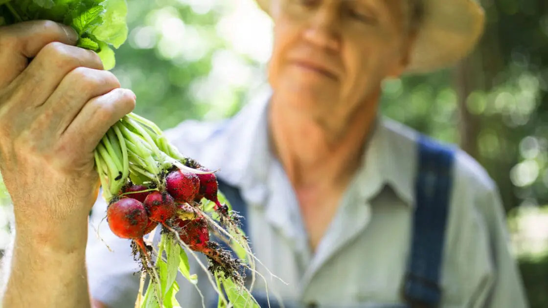 New Organic Label Will Hold Farmers to Higher Standards Than USDA Certification