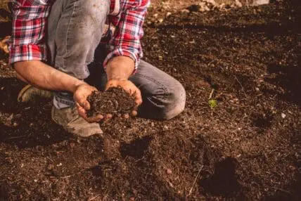New Study Shows Organic Soil Has a 26 Percent Higher Potential for Carbon Storage