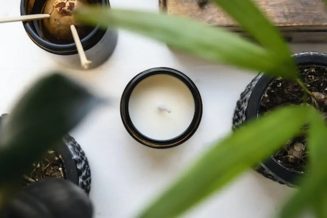a natural candle is unlit on a table with a plant and an avocado pit that has not sprouted yet