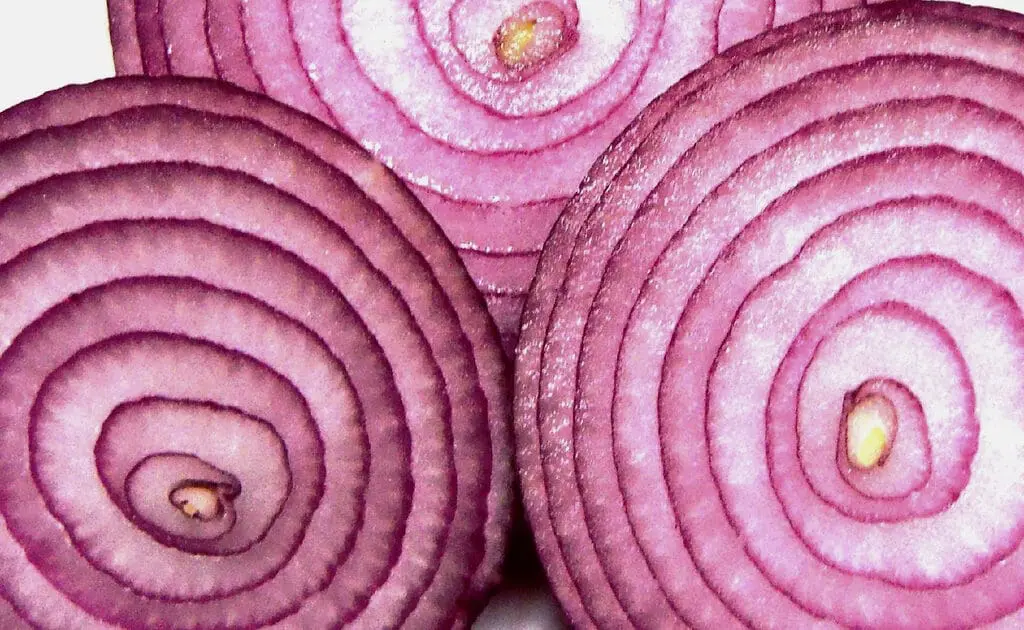 onion