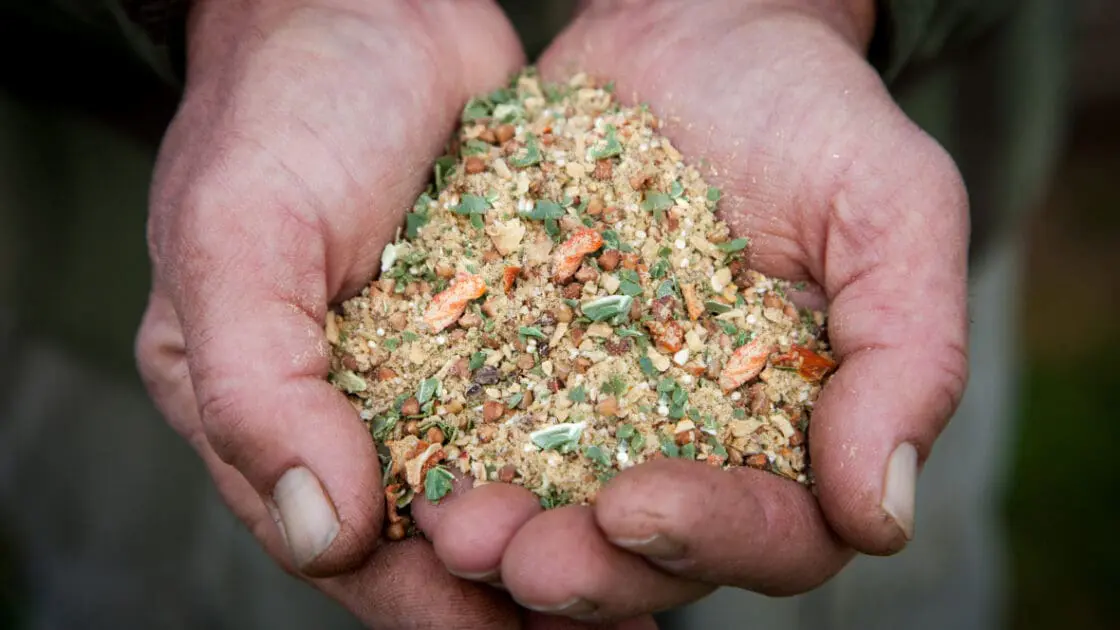 organic grain