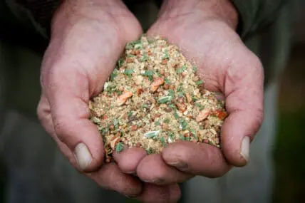 organic grain