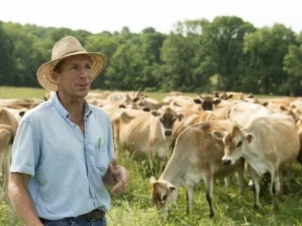 organic valley grassmilk
