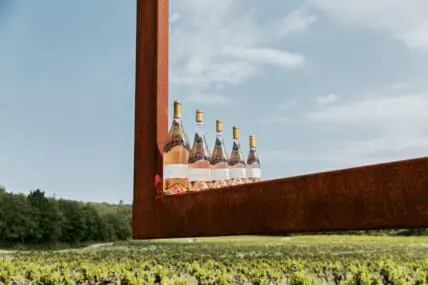 image of five bottles or Rumor organic wine outside against a blue sky background.