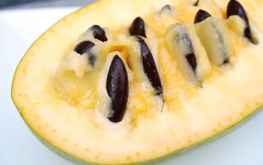 Pawpaw fruit cut open.