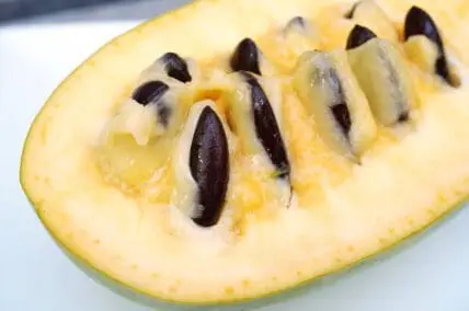 Pawpaw fruit cut open.