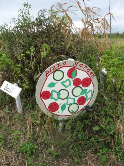 pizza garden