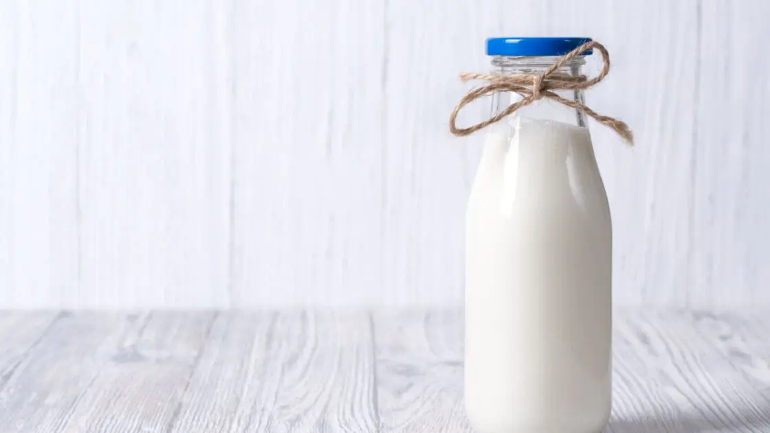 Plant Protein Milk: The Best Thing Since Almond Milk (Only Better)