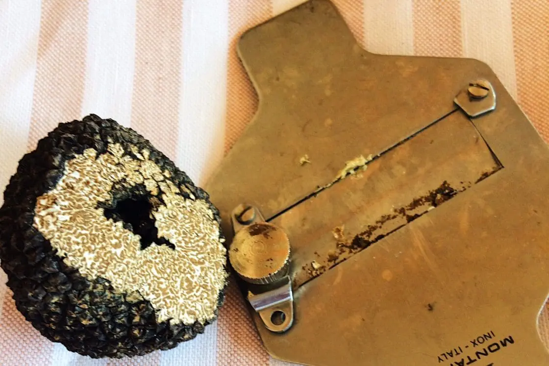 vBlack Truffle Hunting in Italy