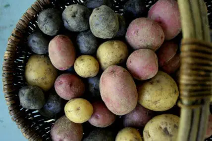 potatoes