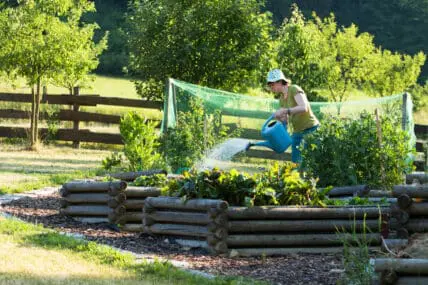 There are definite advantages to using raised beds for gardening.