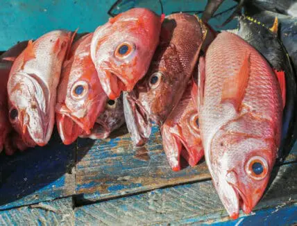 fisheries