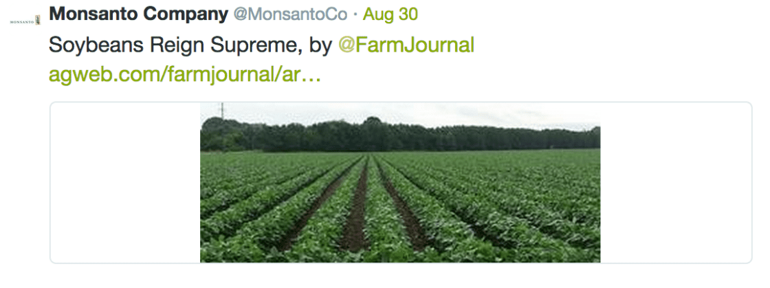 Monsanto Company tweet reading Soybeans Reign Supreme, with a photo of green rows in a soybean field
