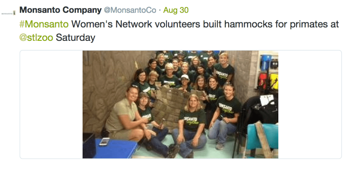 Monsanto Company tweet about its Womens Network building hammocks for primates, with a group photo at the St Louis Zoo
