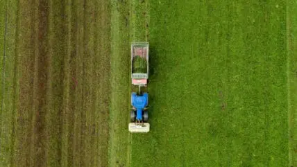 Seed Company Sold Bad Seeds to Black Farmers on Purpose, Says Discrimination Lawsuit
