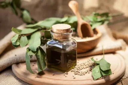 These Hemp Oil Benefits Nourish You Inside and Out