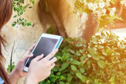 garden gadgets go high tech