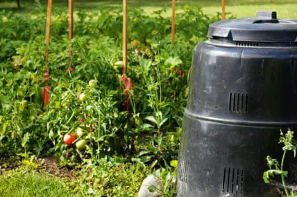 compost things you never thought you could