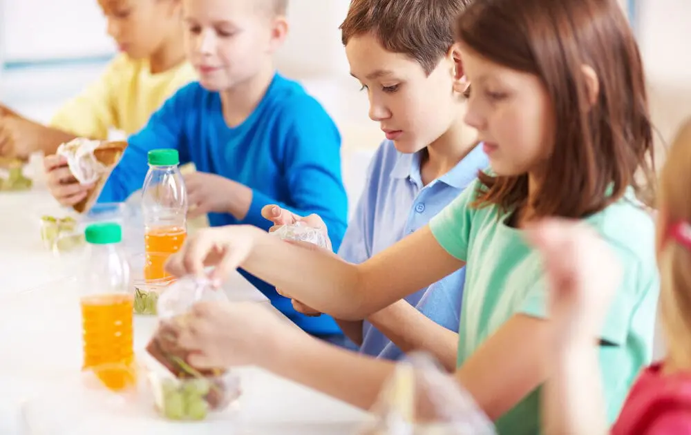 Sodexo to Add Mushrooms to Beef Burgers to Up School Lunch Nutrition