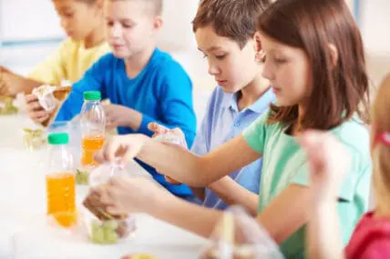 Sodexo to Add Mushrooms to Beef Burgers to Up School Lunch Nutrition